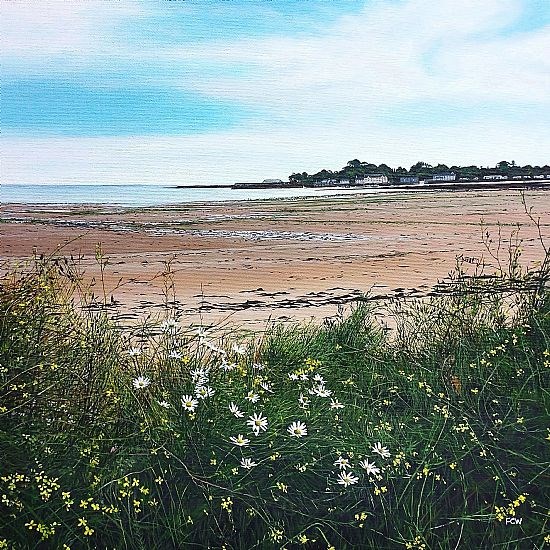 Wildflowers, Garlieston