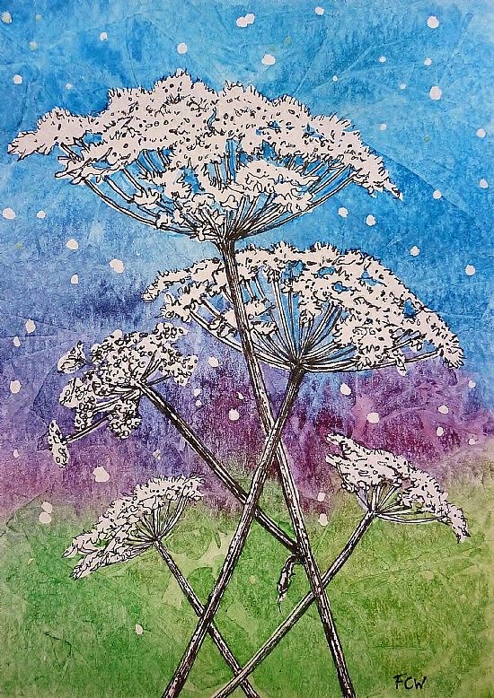 Hogweed and Stars