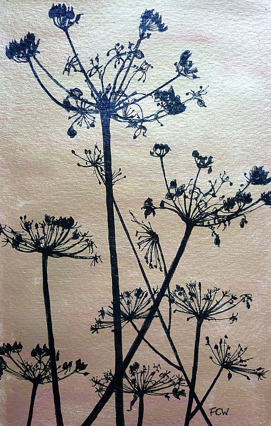 Hogweed in Gold