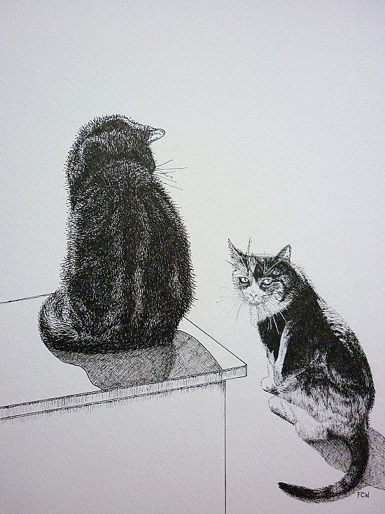 One Up, One Down   Cats Soaking Up the Sun