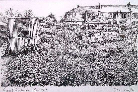 Rache's Allotment 