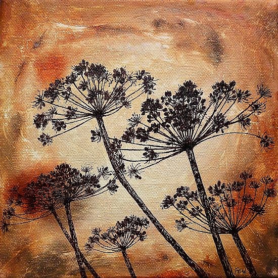 Cow Parsley Autumn