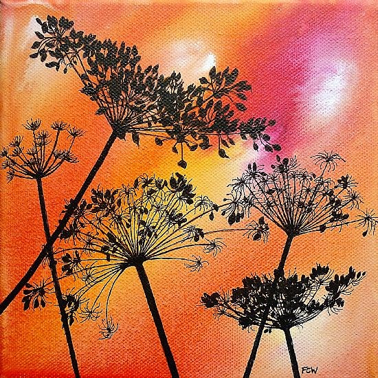 Cow Parsley Sunset