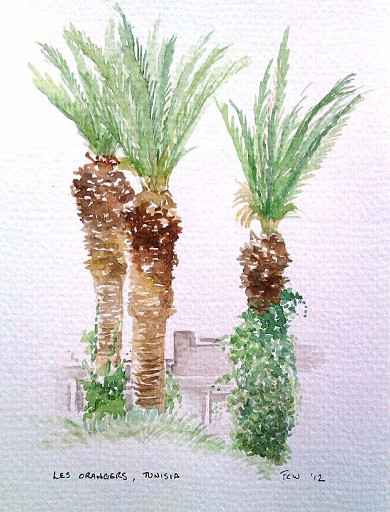 Palms, Tunisia
