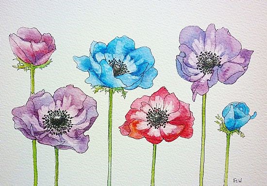 Anemones