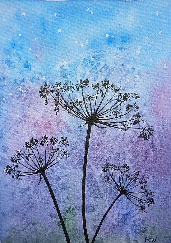 Hogweed Blues