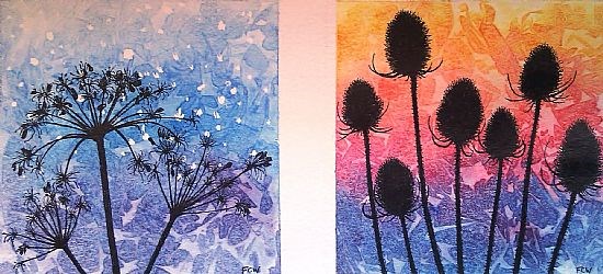 Hogweed Night   Teasel Sunrise Duo