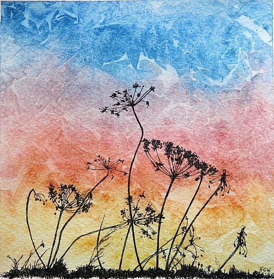 Hogweed Sunset