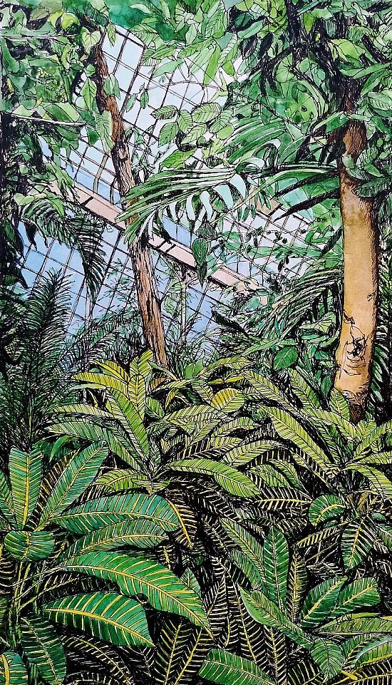 In the Glasshouse, Glasgow Botanic Gardens