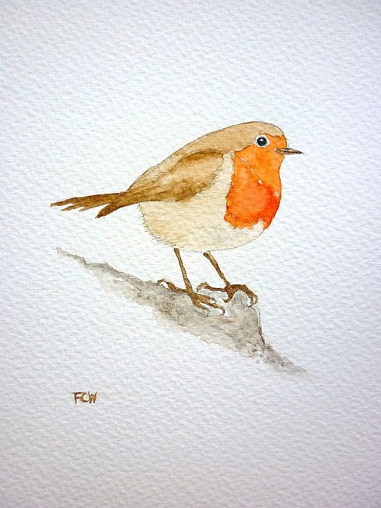 Robin