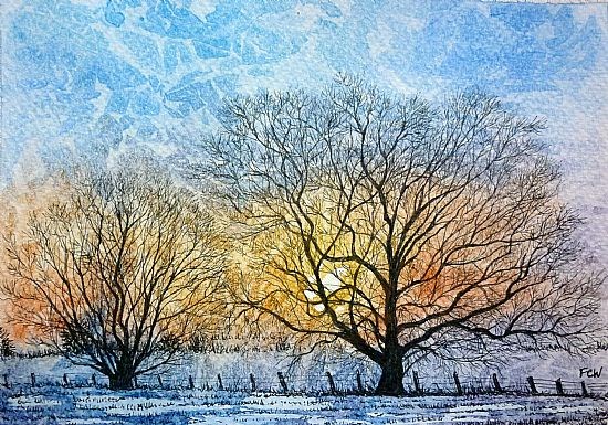 Winter Trees Sunset