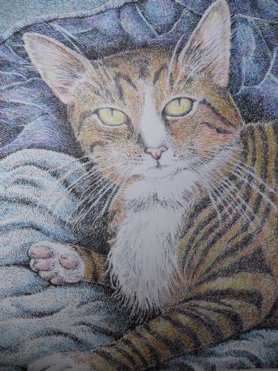 Paulas cat