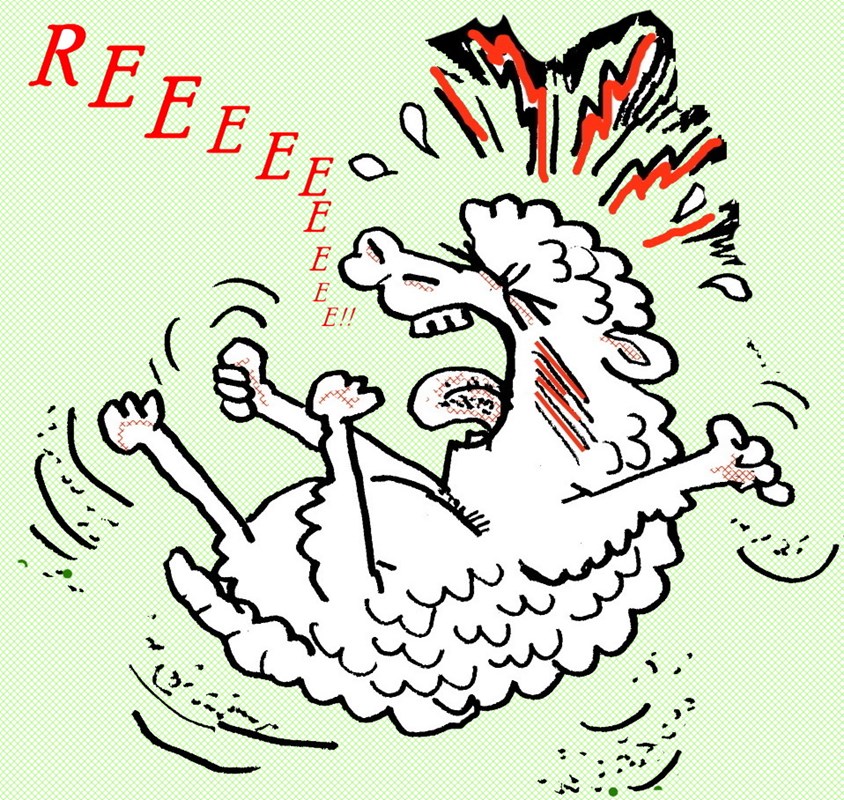REEEE!
