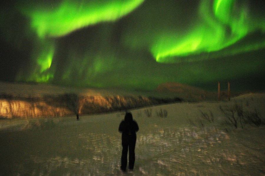 Enjoying the Aurora Borealis on a winter cruise to Tromsø