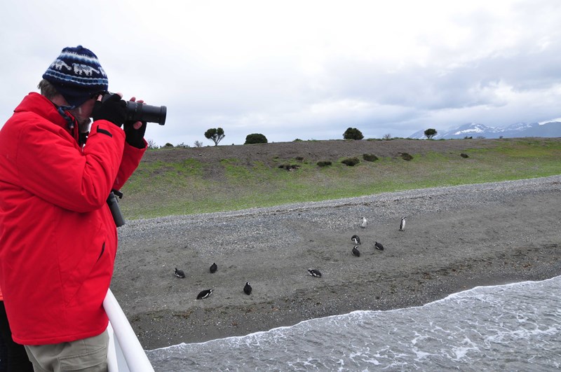 Photographing Magellanic Penguins on Isla Martillo, from Ushuaia, Argentina in 2019.