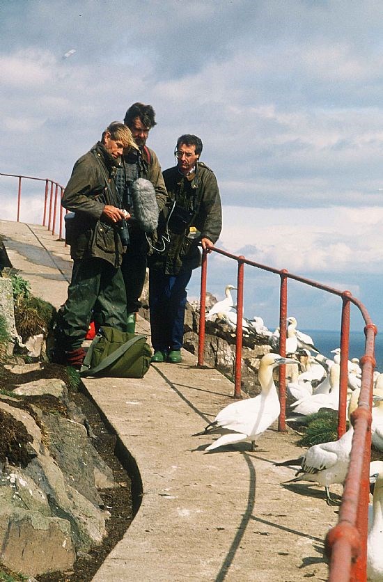 Author with seabirds on rocky slope