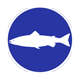 salmon primary pin