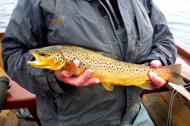 They Just Kept Coming!