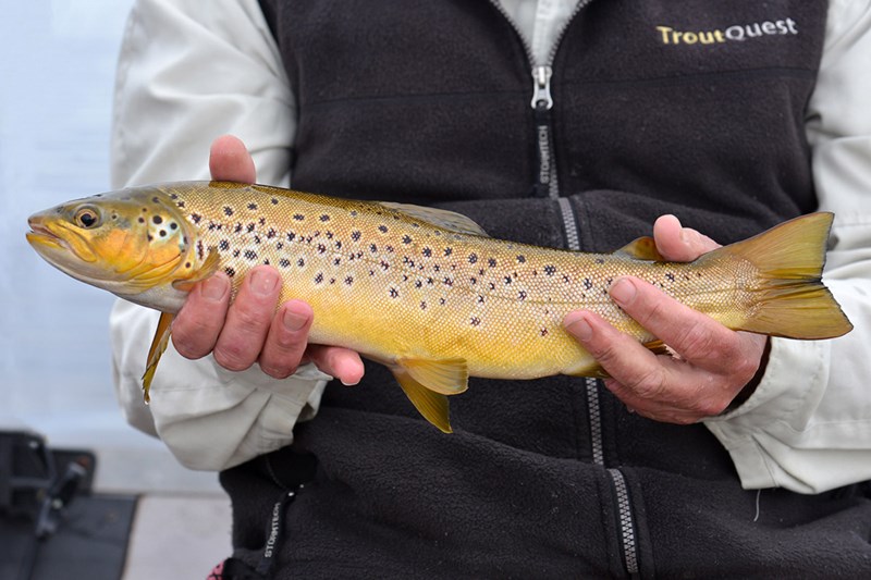 A Word from our Sponsor!