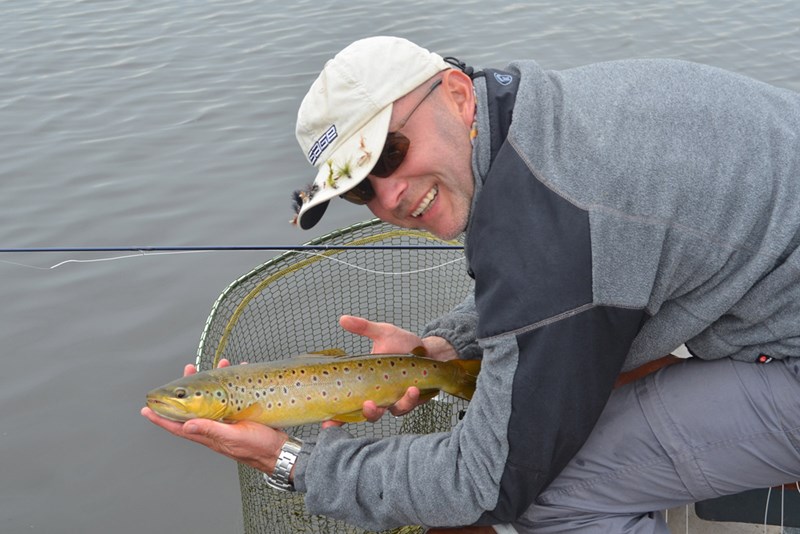 Stewart Collingswood