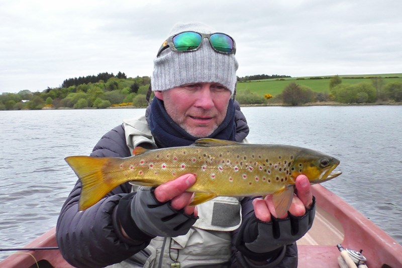 Stewart Collingswood