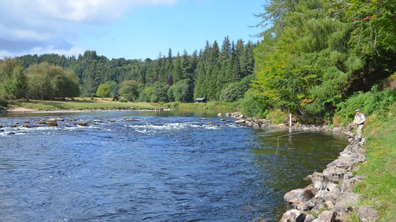 Wester Elchies, River Spey
