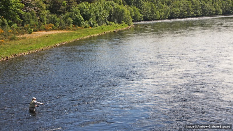 Beauly Fishings, River Beauly