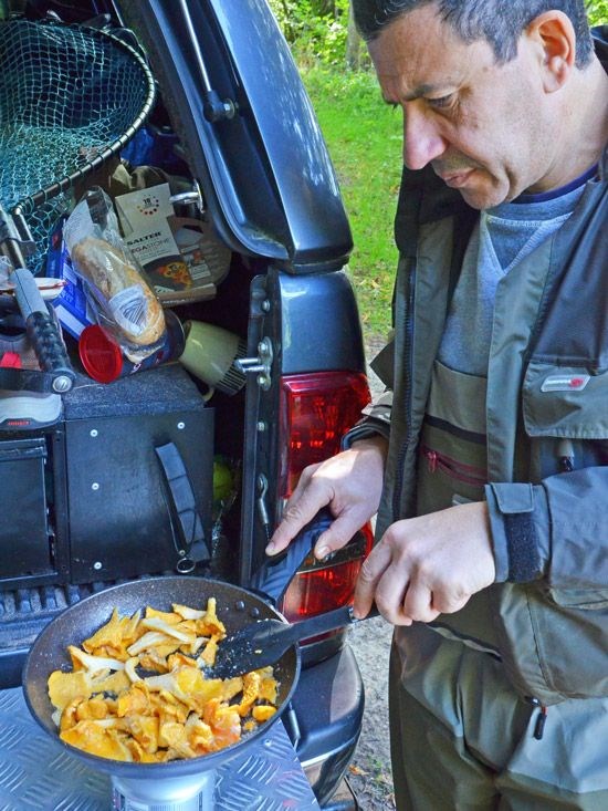 Chanterelles on the Findhorn