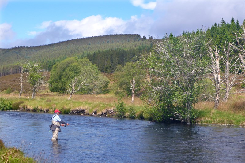 Guided trout fishing - River Alness