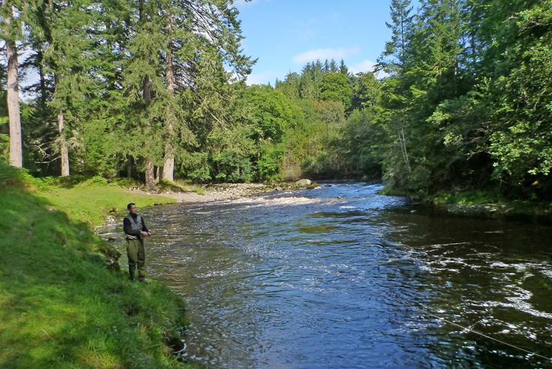 Guided salmon fishing on the River Alness