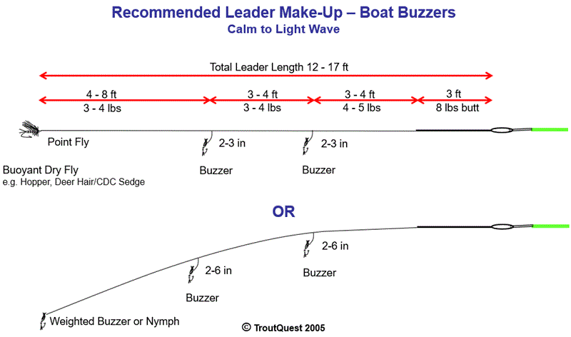 Leader Set-up - Buzzer Tactics