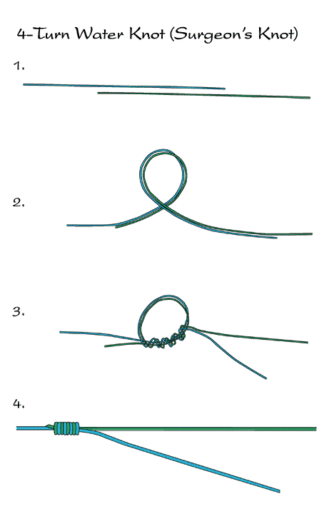 4-Turn Water Knot