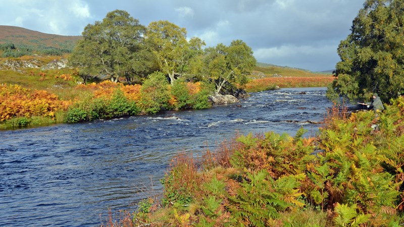 River Cassley