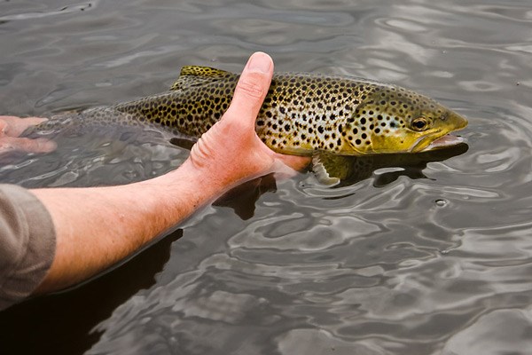 TroutQuest  Caithness - Best Trout and Salmon Fishing Places