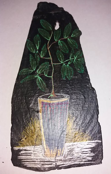 SM17 Plant 5 SOLD
