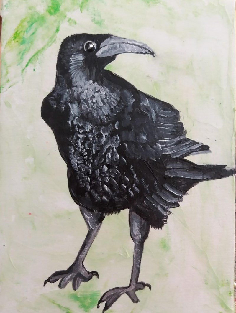 crow 2 SOLD