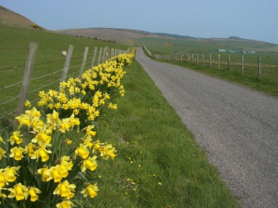 springtime-by-langholm-farm