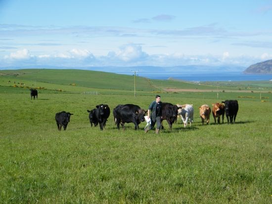 a-view-of-the-mull-and-coast-of-northern-ireland