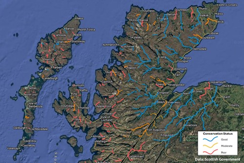 2025 Salmon Stocks Assessment & 2026 River Gradings