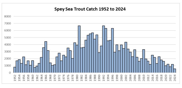 Spey Sea Trout Catches