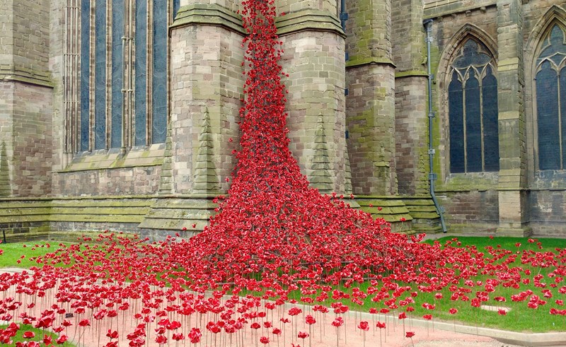 Poppies Hereford Cathedral