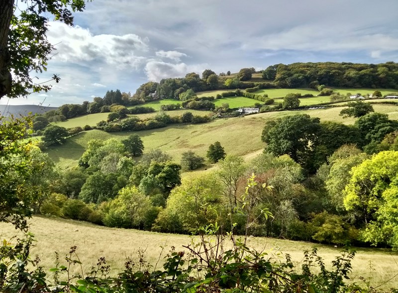 looking into St David's Vale