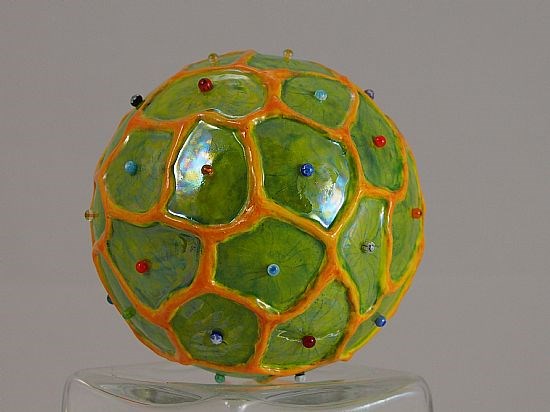 coral-reef