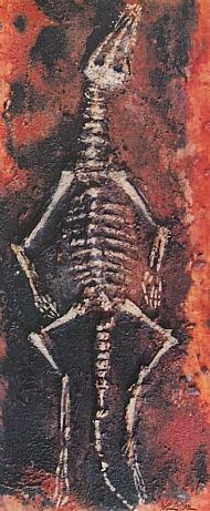 lizard-fossil