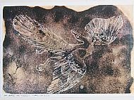 archaeopteryx