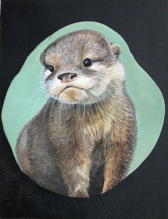 baby-otter