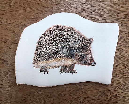 hedgehog