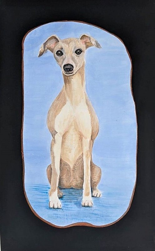 whippet