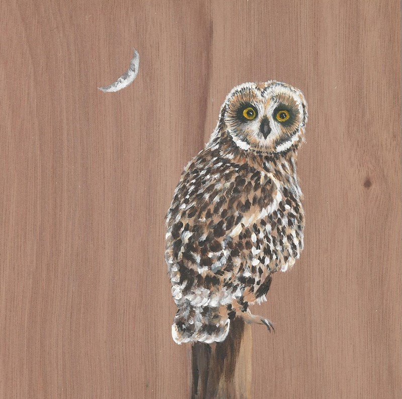 Little owl (acrylic; image courtesy of Les Liddle)