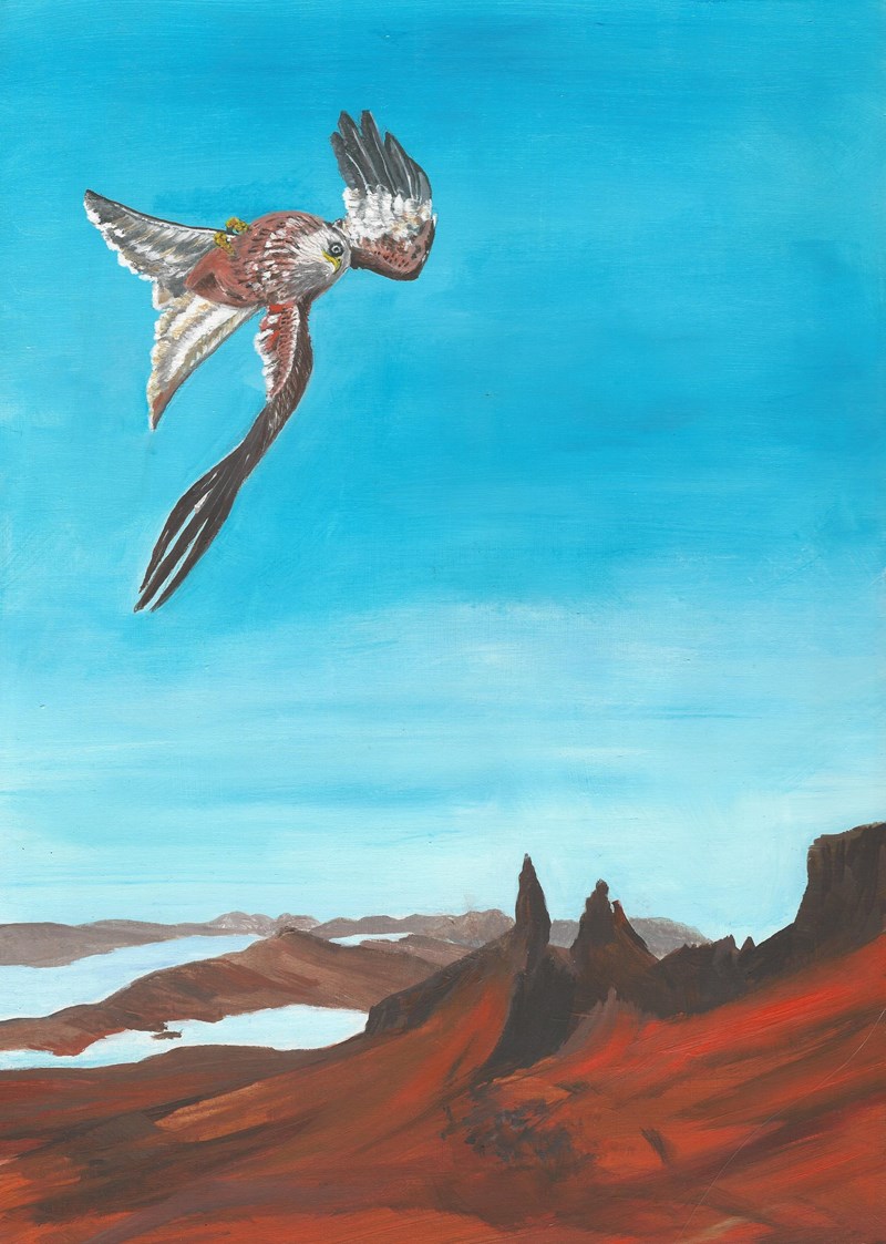 Red kite over Skye (acrylic; images courtesy of Les Liddle and David Deamer)